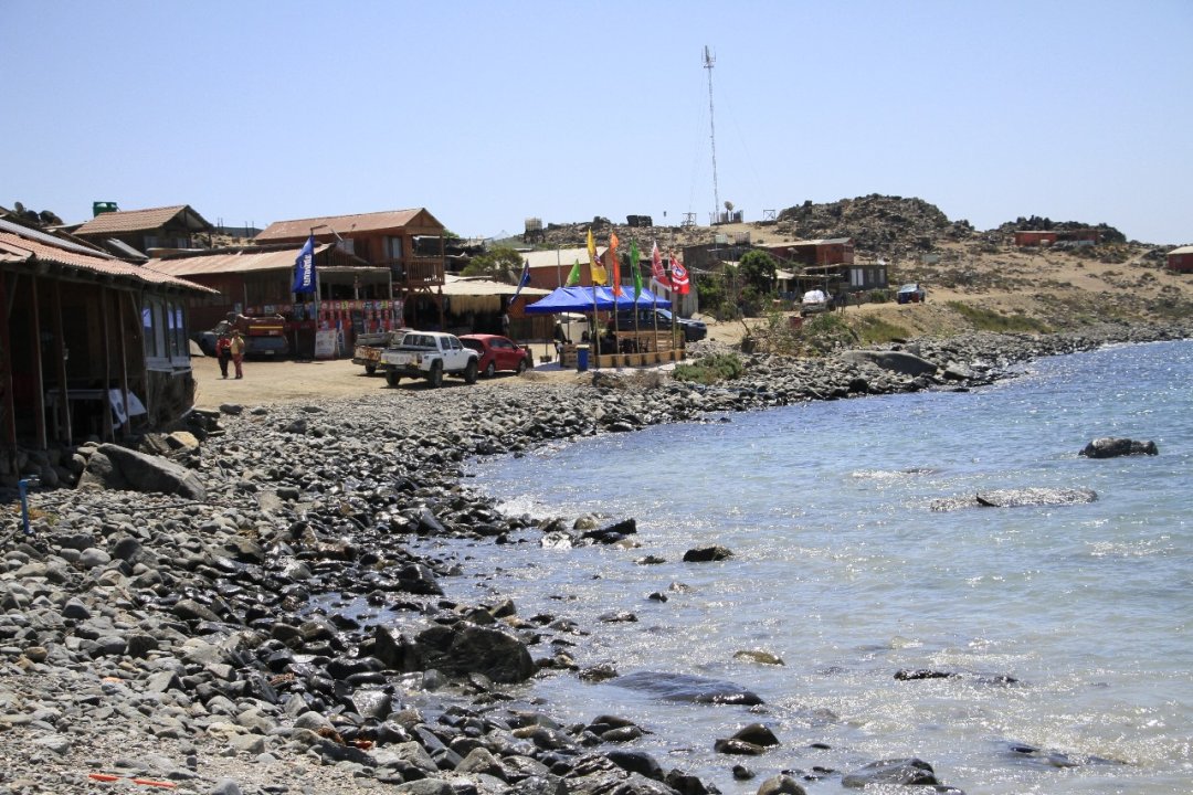 /caleta-pajonales-la-maravilla-costera-de-la-comuna-de-copiapo