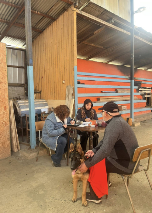 ADA realiza su 76° operativo de esterilización y castración a bajo costo