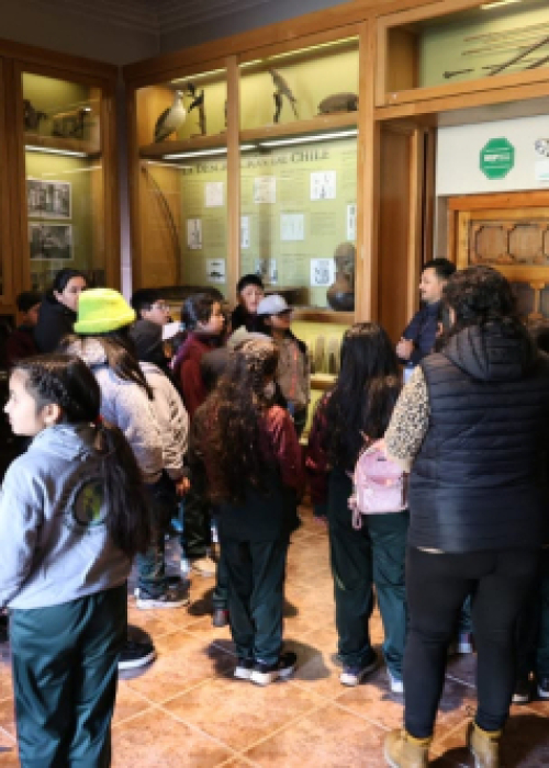 Estudiantes de la Escuela de Pangueco Participan en Exitoso Viaje Cultural a Concepción