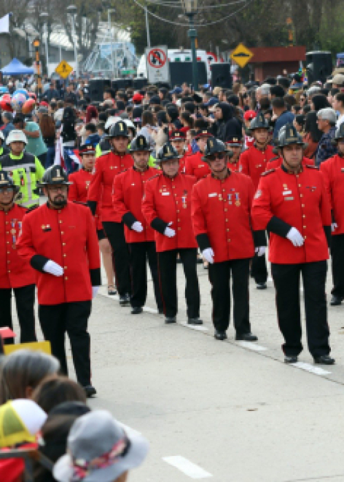 Exitosa realización del Desfile de Fiestas Patrias 2025 en la comuna de Curanilahue