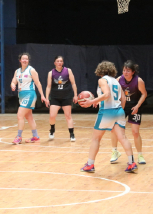 Básquetbol y vóleibol en Tirúa se unen para promover deporte y respeto a la diversidad sexual