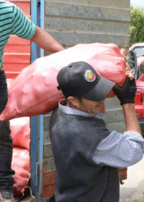 Cooperativa Mapuche “Gente de la Tierra” entrega 355 mallas de papas a familias de Tirúa