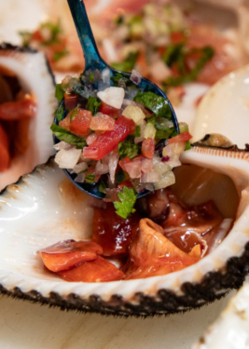 Un verano distinto comienza en Arauco con la Fiesta del Marisco en Llico