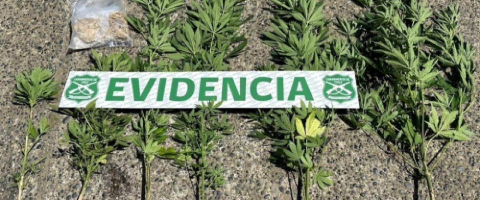 Dos personas detenidas por infracción a la Ley de Armas y a la Ley de Drogas