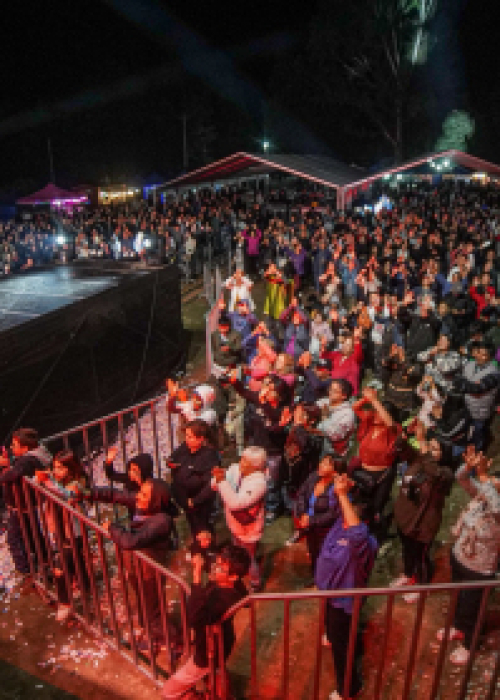 Con una masiva asistencia de público finalizó con éxito la Fiesta de la Semana Contulmana