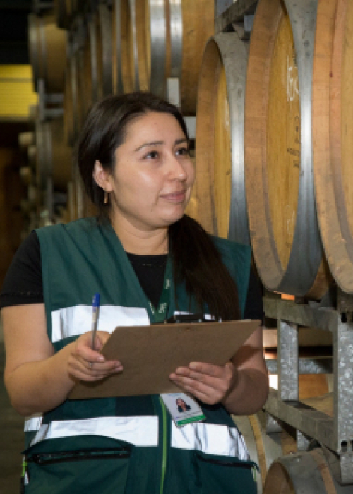 SAG presenta Informe de Existencia de Vinos 2025