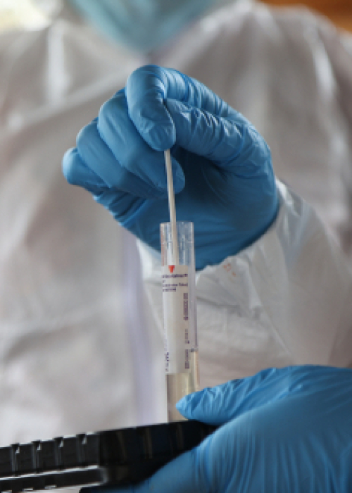 SAG logra en tiempo récord la reapertura de los principales mercados de productos avícolas tras foco de influenza aviar