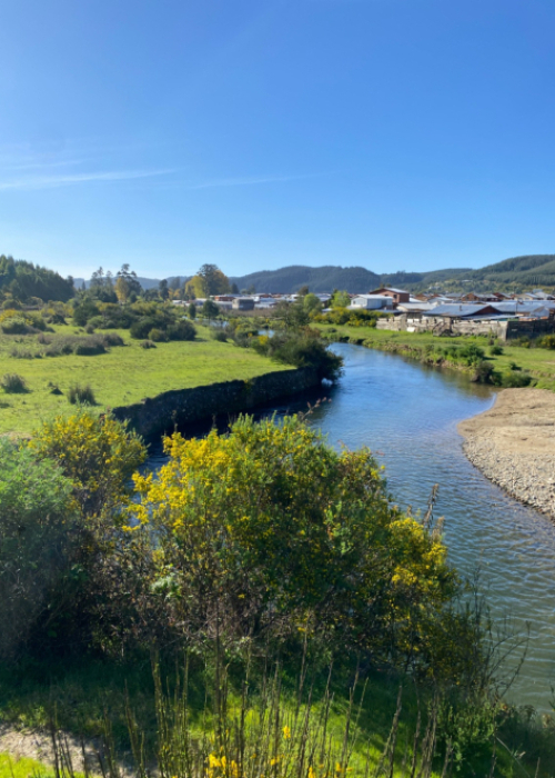Plan Pionero en Curanilahue: el modelo que combina ciencia, naturaleza e ingeniería para enfrentar las inundaciones fluviales en Chile