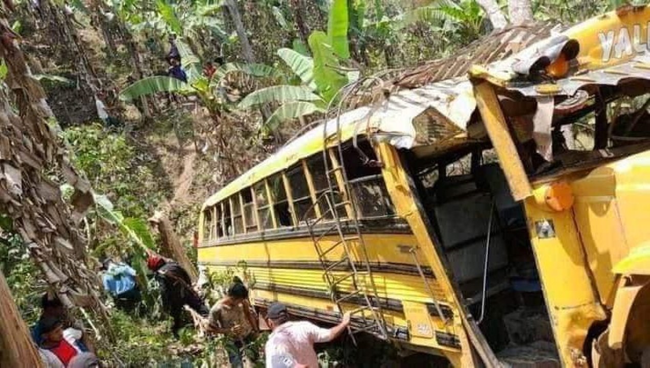 /bus-cayo-en-enjambre-de-abejas-asesinas-en-nicaragua-seis-personas