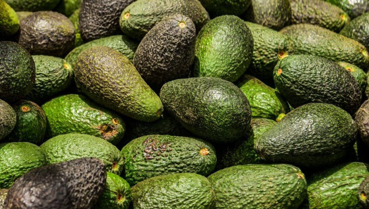 /tendencias/curiosidades/palta-que-da-vida-8-kilos-por-persona-es-el-consumo-anual-promedio-en