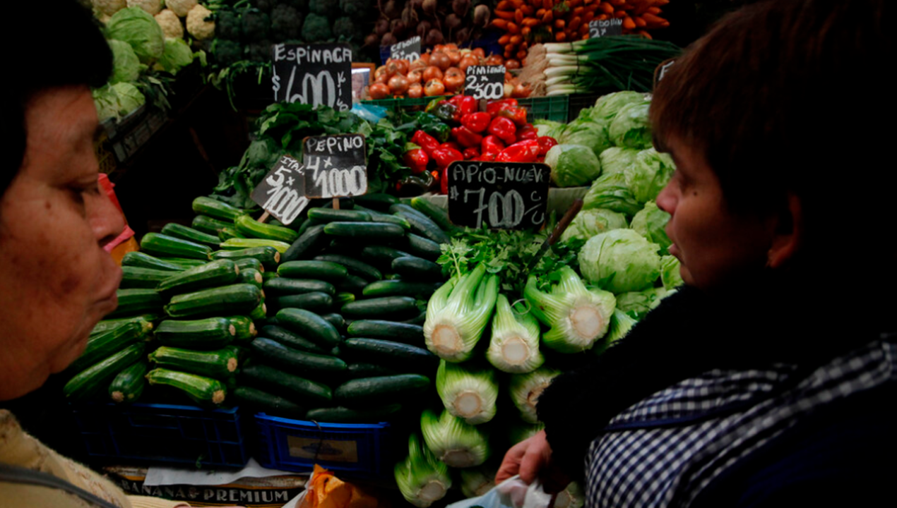 /entrevistas/medio-ambiente/entrevista-agronomo-sobre-productos-tras-lluvias-y-heladas-hay