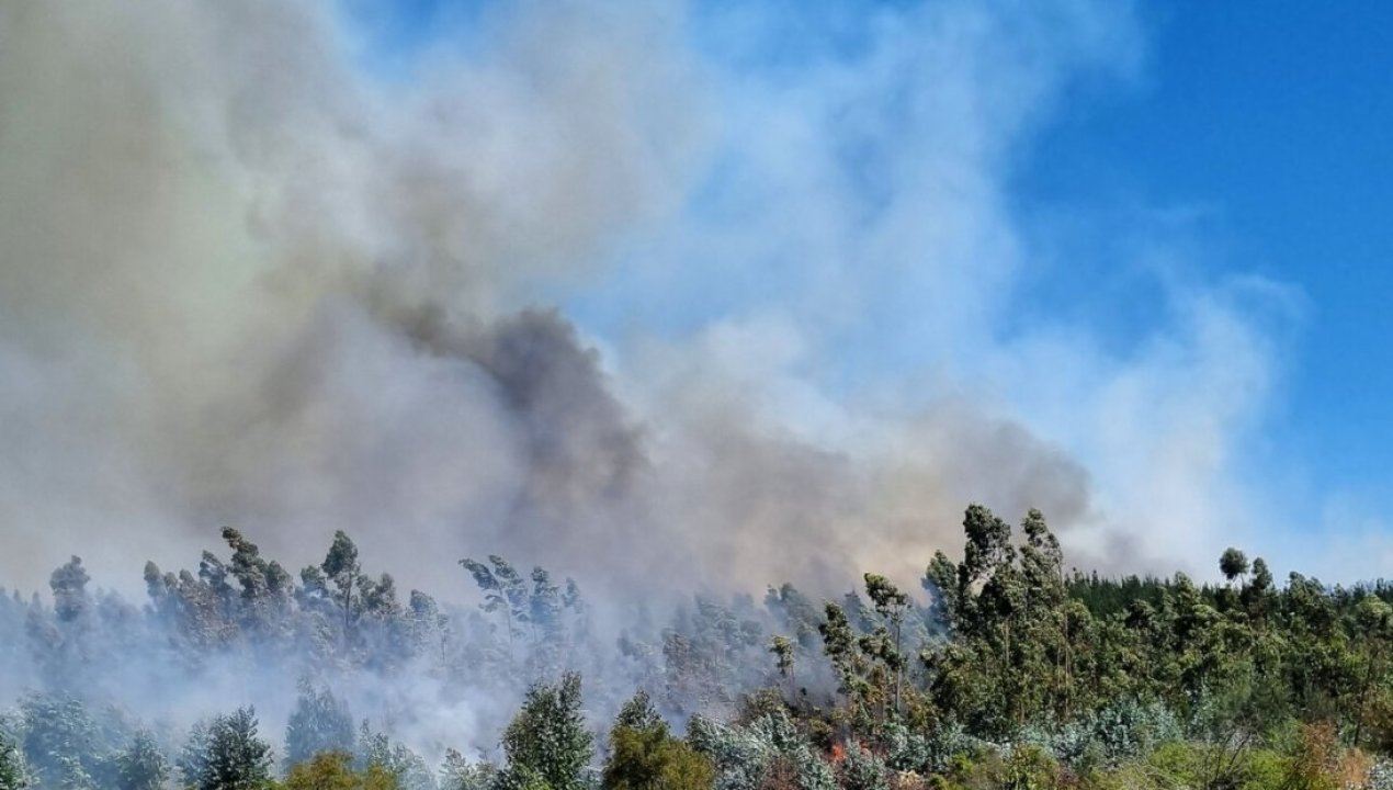 /actualidad/desastres-naturales/incendios-forestales/formalizan-a-cuatro-sujetos-involucrados-en-incendios-forestales-ocurridos