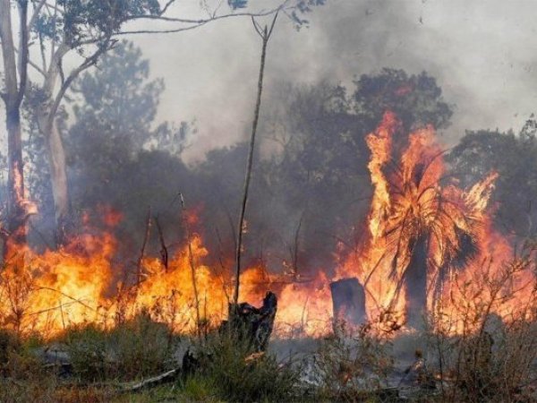 Gobierno argentino tilda de terrorista a grupo Mapuche ligado a incendios en la Patagonia