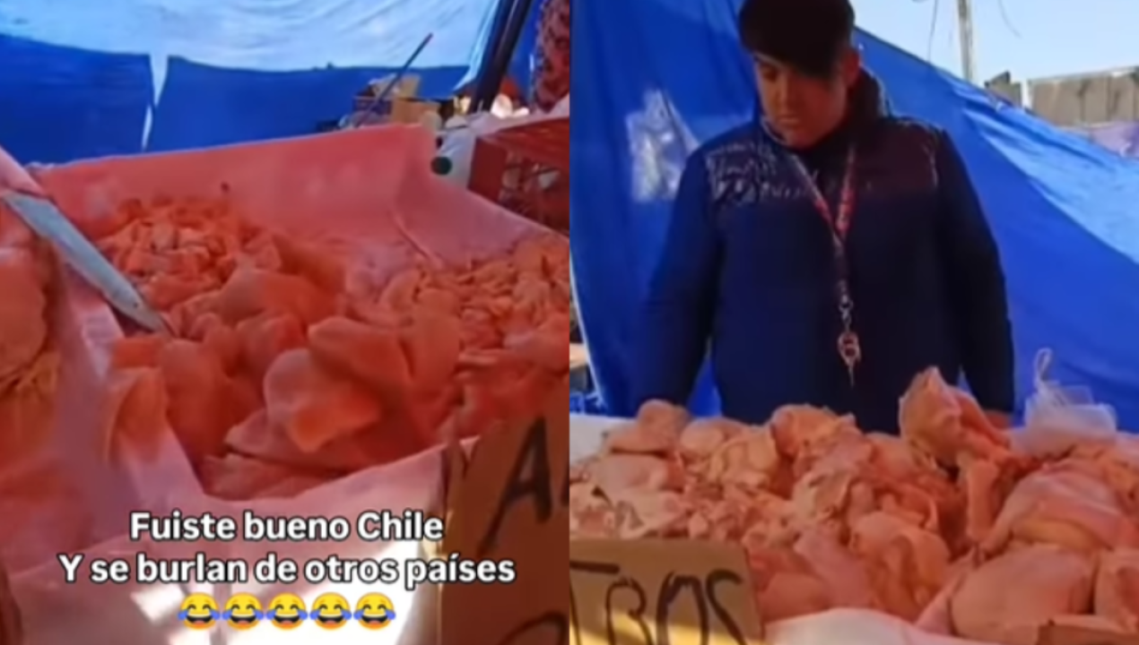/tendencias/redes-sociales/sin-refrigeracion-ni-hielo-carnicerias-en-ferias-chilenas-desatan-debate