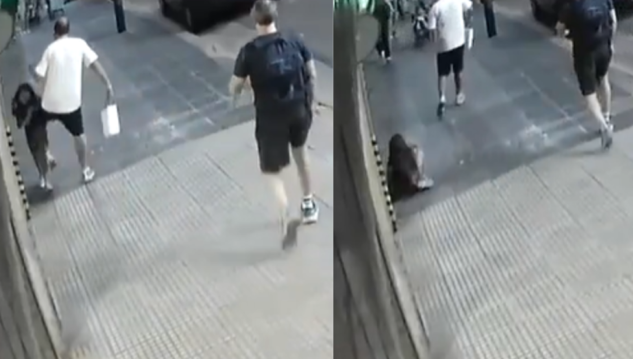 /internacional/nina-de-seis-anos-fue-atacada-por-joven-con-autismo-en-argentina