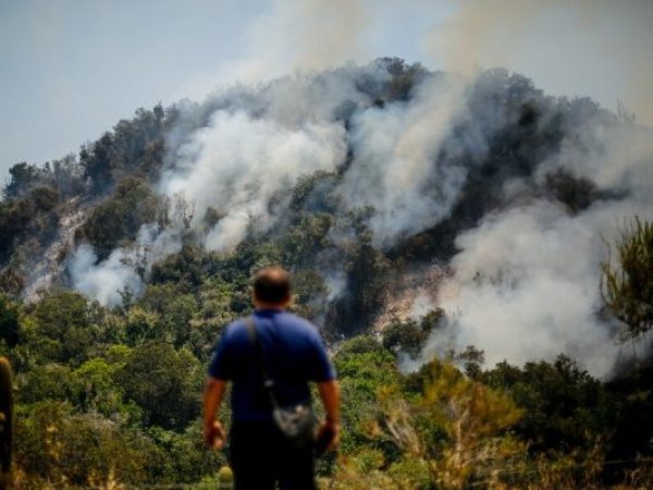 Incendios forestales siguen activos y Ejecutivo endurece advertencias a responsables