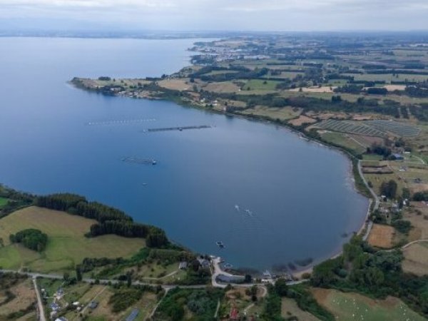 Absuelven a exejecutivos de salmonera por contaminación de aguas en Porvenir