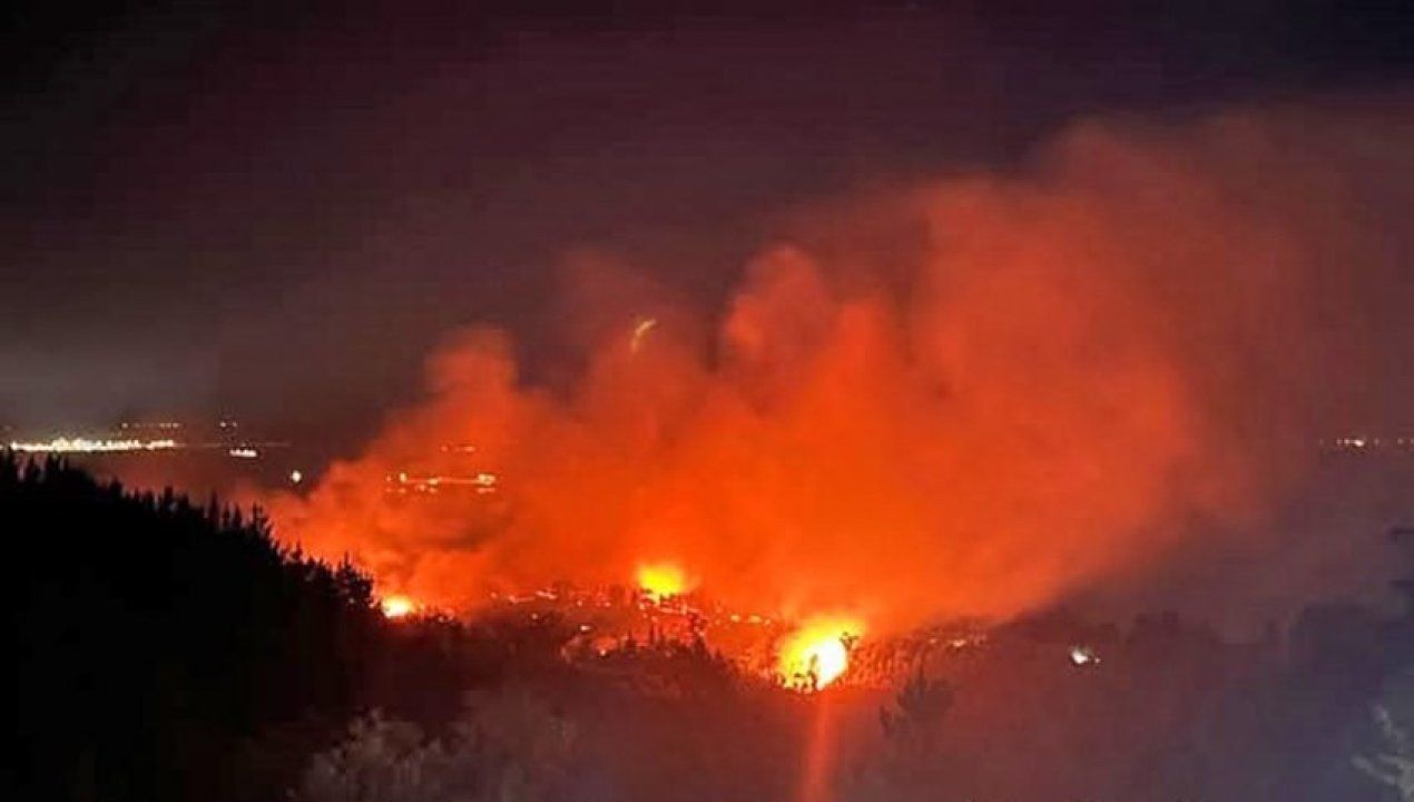 /actualidad/carabineros-confirma-una-victima-fatal-por-incendio-forestal-en-punta-de