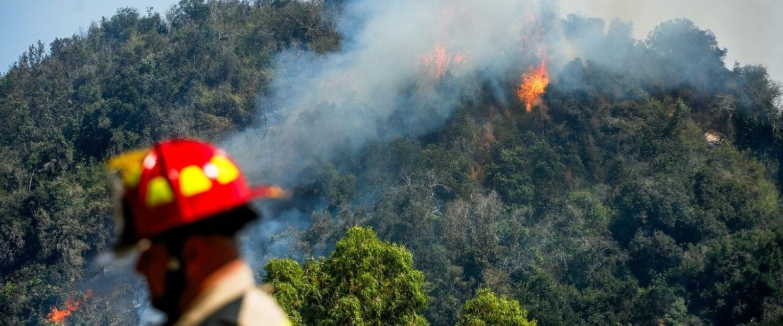 Incendios forestales: Transporte Informa recomienda no viajar desde Santiago al Biobío
